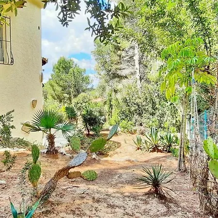 La Belita Villa *