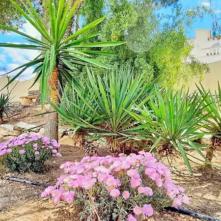 La Belita Villa *